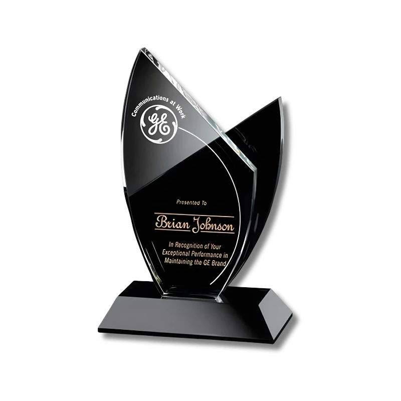 Kỷ niệm chương hai ngọn lửa